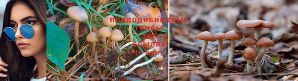 мефедрон Ростов