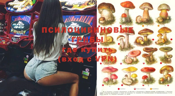 винт Рославль
