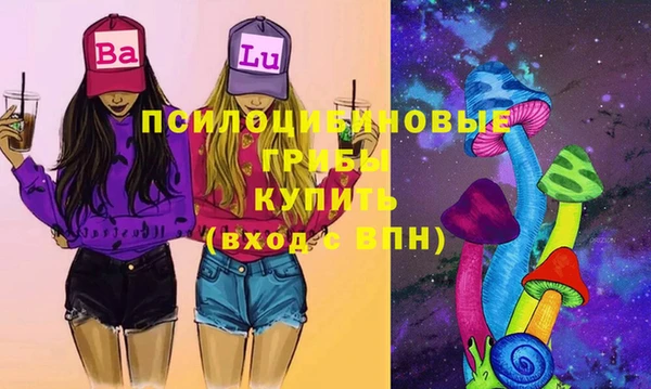 ПСИЛОЦИБИНОВЫЕ ГРИБЫ Верея