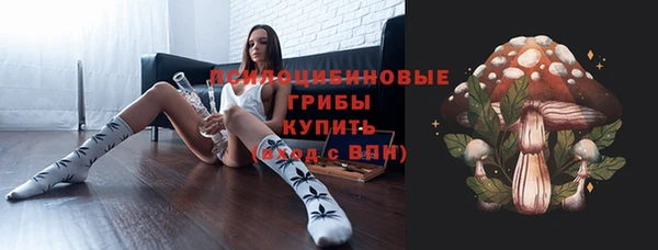 ПСИЛОЦИБИНОВЫЕ ГРИБЫ Верея