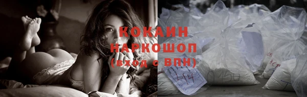 ПСИЛОЦИБИНОВЫЕ ГРИБЫ Верея