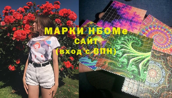 ПСИЛОЦИБИНОВЫЕ ГРИБЫ Верея