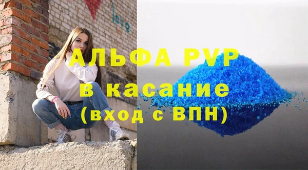 ПСИЛОЦИБИНОВЫЕ ГРИБЫ Верея