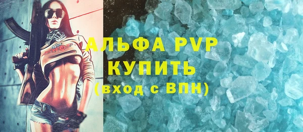 ПСИЛОЦИБИНОВЫЕ ГРИБЫ Верея