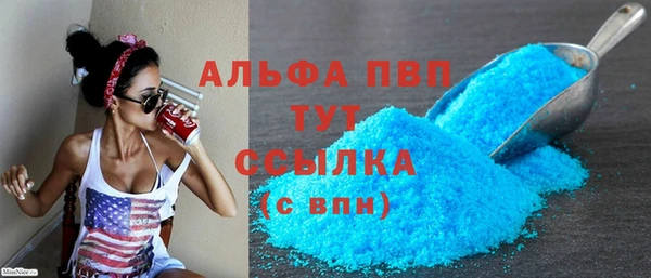 ПСИЛОЦИБИНОВЫЕ ГРИБЫ Верея